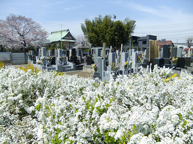 観音寺の四季折々のお花に彩られた優しい墓苑風景