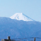 霊峰富士を望む園内