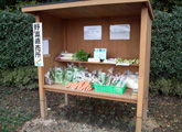 地元野菜の無人販売小屋