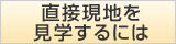直接現地を見学するには