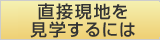 直接現地を見学するには