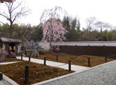 桜の風景　その2