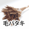 毛バタキ