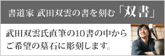 書道家 武田双雲の「書」を刻む 双書