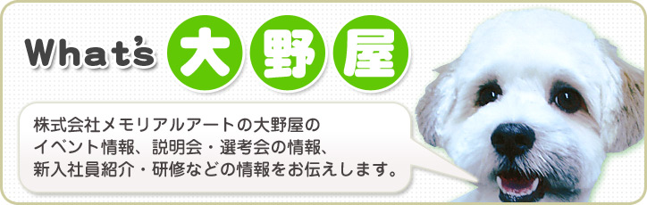 What's 大野屋