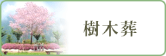 樹木葬の質問