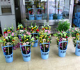 お花の販売