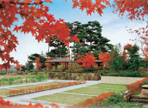 東京霊園