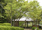 都立八王子霊園