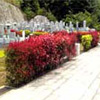 京都南大霊園