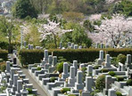 町田いずみ浄苑フォレストパーク