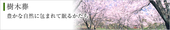 樹木葬