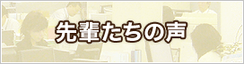 先輩たちの声