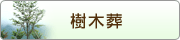 樹木葬