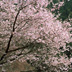 神戸聖地霊園