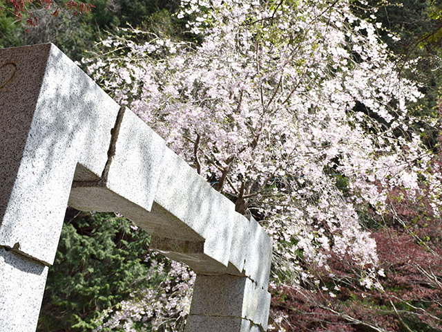 記念碑でよく使われる素材