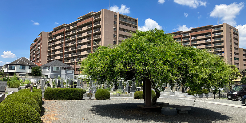 西教寺『第3区』墓域イメージ4