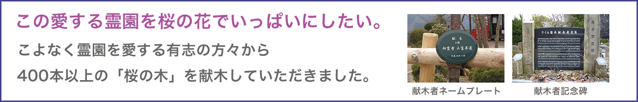 こよなく霊園を愛する有志の方々から400本以上の「桜の木」を献木していただきました。