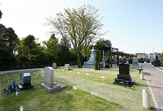安行彩樹園地　墓域2
