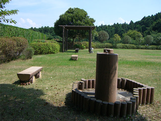 園内にある広場　イメージ