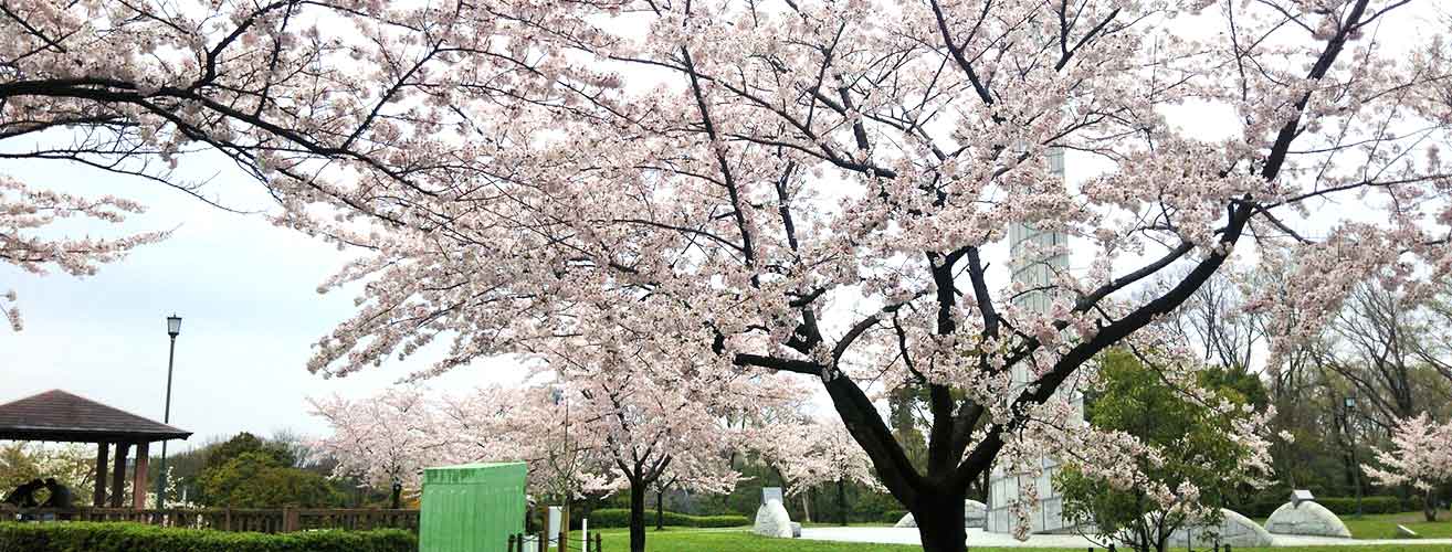 平和公園 極楽寺霊苑イメージ6