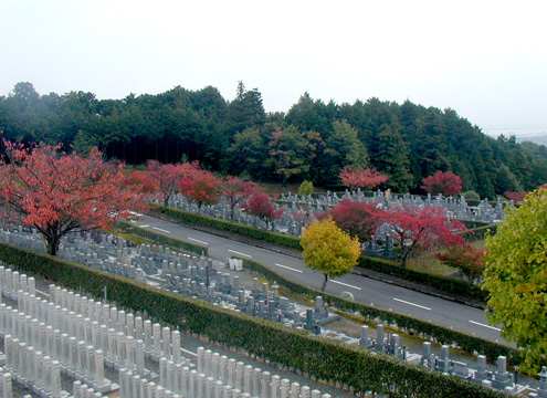 比叡山延暦寺大霊園　霊園の秋の風景　イメージ8
