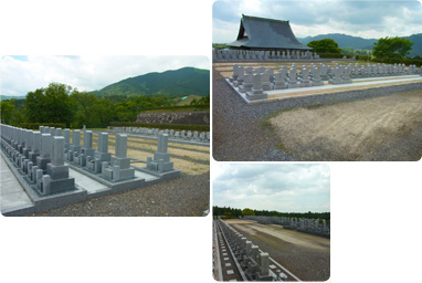 個別に永代供養墓を建立する形式