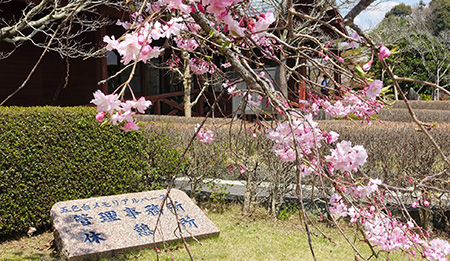 永代供養「想」