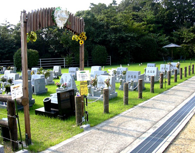 芝生墓地風景その３