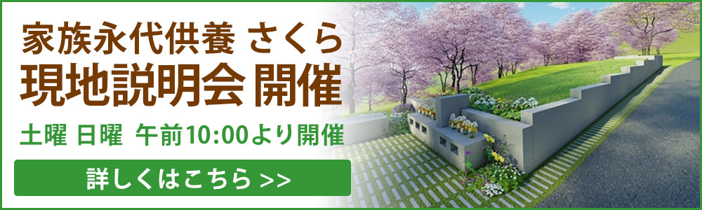 現地説明会