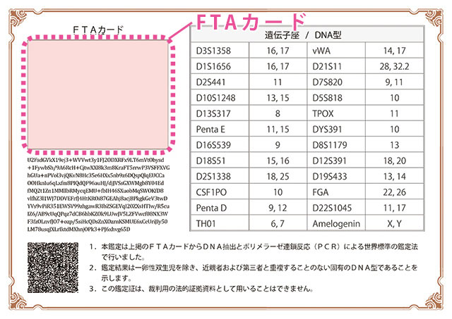 鑑定証明書 裏