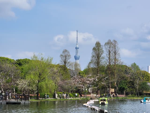 上野 不忍池