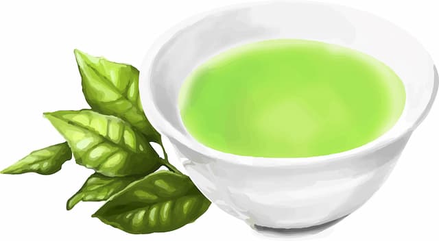新茶
