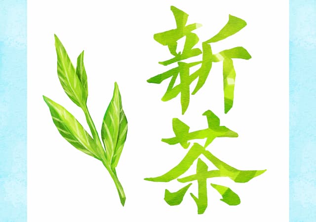 新茶